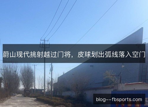 蔚山现代挑射越过门将，皮球划出弧线落入空门